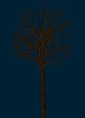 dry_tree.jpg (59 Kb)