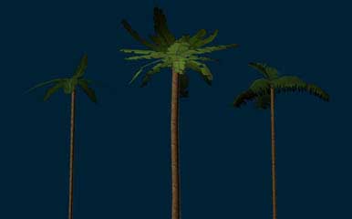 palms.jpg (81 Kb)